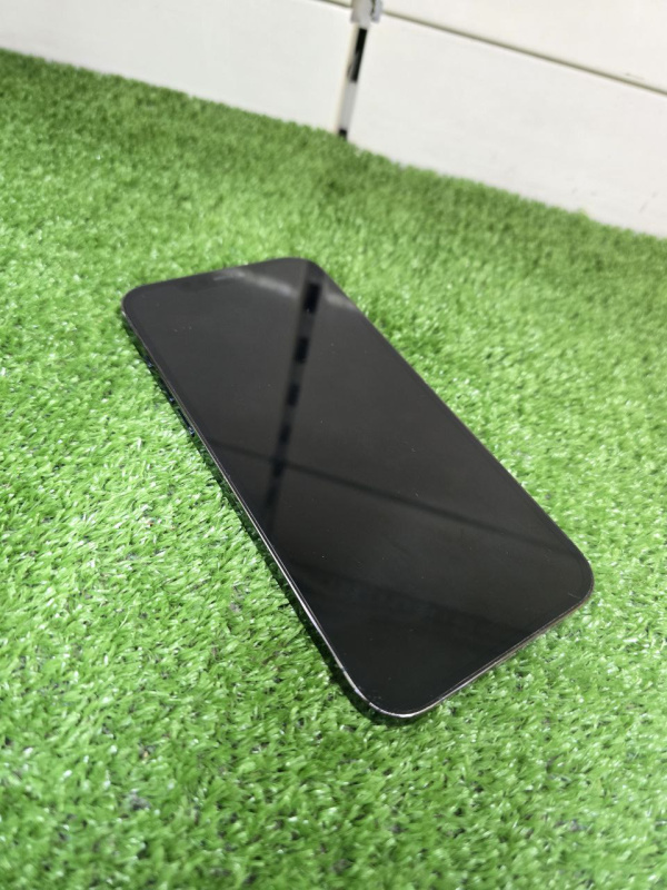 Мобильный телефон Apple iPhone 12 Pro Max